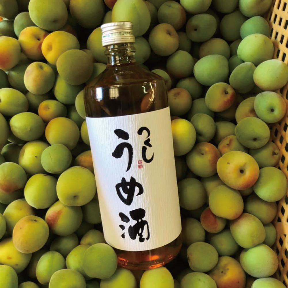 原料：梅実・本格焼酎（つくし原酒）・氷砂糖・糖類　アルコール度数：12%
蔵元から車で20分ほどの福岡県立花町の山中で、減農薬で丹精込めて栽培された梅実を使っており、梅そのものの味わいをタップリと引き出しております。柔らかい口当たりを楽しんで頂ける12度のものを用意いたしました。ロックやソーダ割りで美味しく飲んでいただけます。
香味の特性：・飲みやすく甘みがある
・心地よい梅の酸味。
 美味しい飲み方： ロック・水割り・ソーダ割り
食前、食後酒に。カクテルベースにもおすすめです。